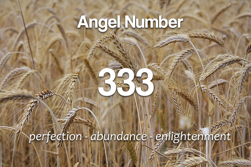 Angel number 333 symbolism and spiritual meaning spirit animals