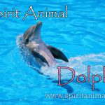 Dolphin as Spirit Animal