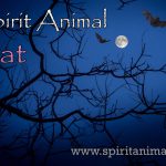 Bat as Spirit Animal