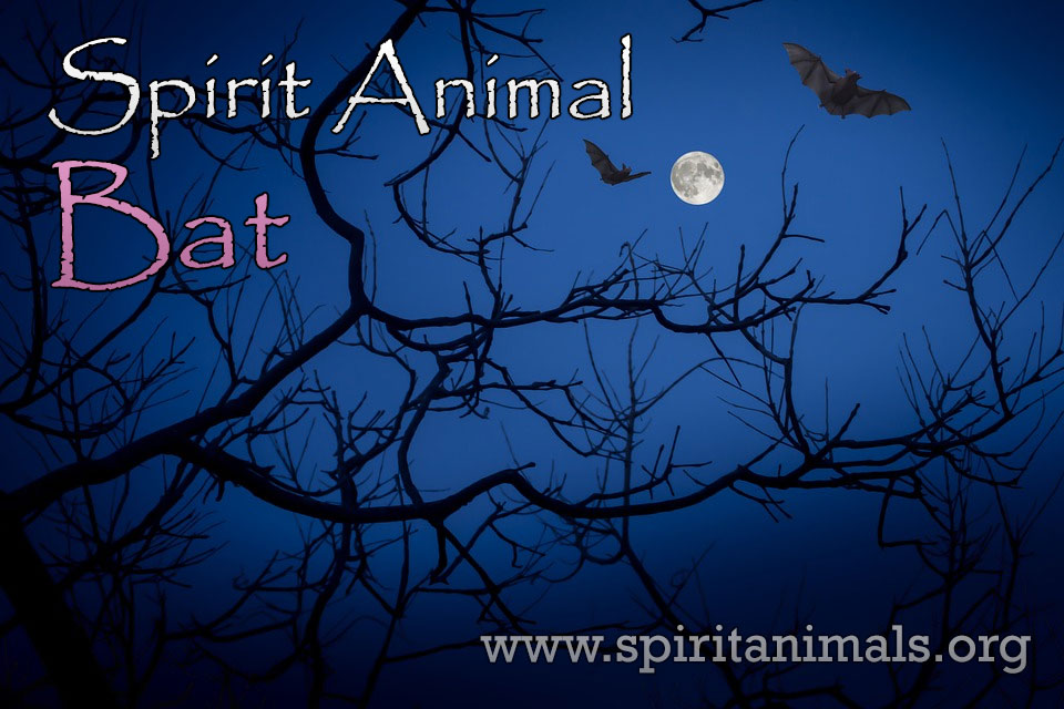 Bat as Spirit Animal