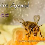 Bee as Spirit Animal