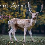 Deer as Spirit Animal