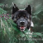 Dog as Spirit Animal