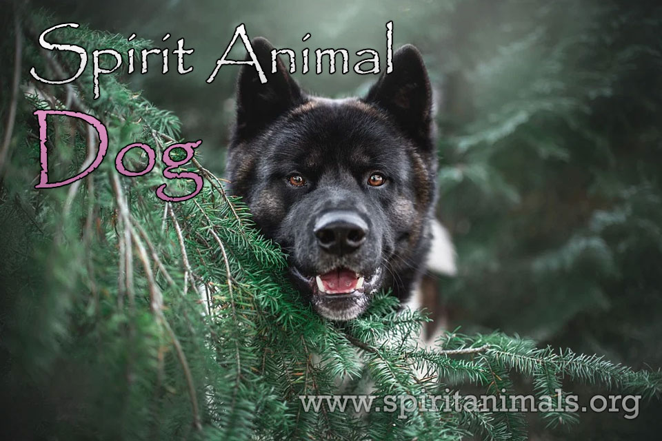 Dog - Spirit, Totem and Power Animal Meaning - Spirit Animals