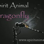 Dragonfly as Spirit Animal