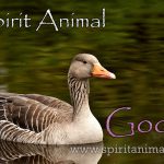 Goose as Spirit Animal