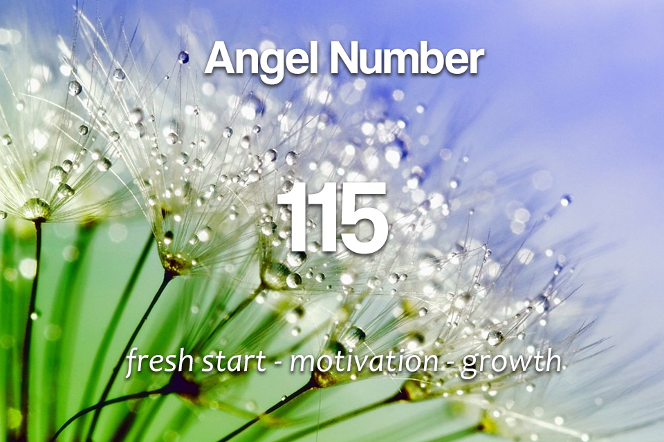 115 Angel Number - Fresh Start and New Motivation - Spirit Animals