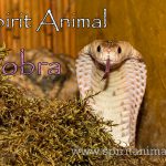 Cobra as Spirit Animal