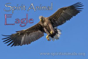 Eagle as Spirit Animal