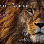 Lion as Spirit Animal