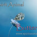 Butterfly as Spirit Animal