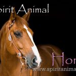 Horse as Spirit Animal