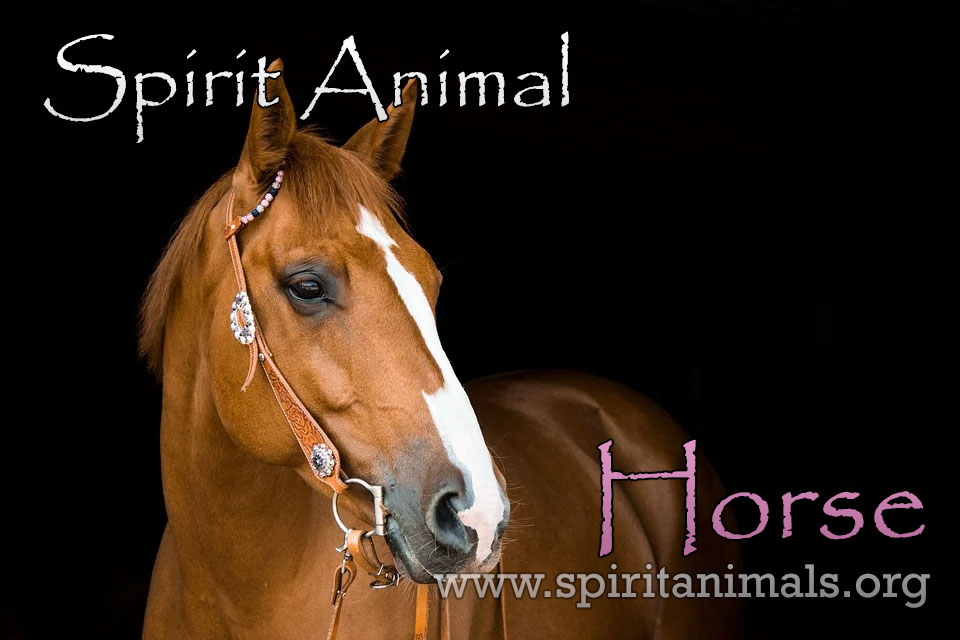 Horse as Spirit Animal