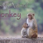 Monkey as Spirit Animal