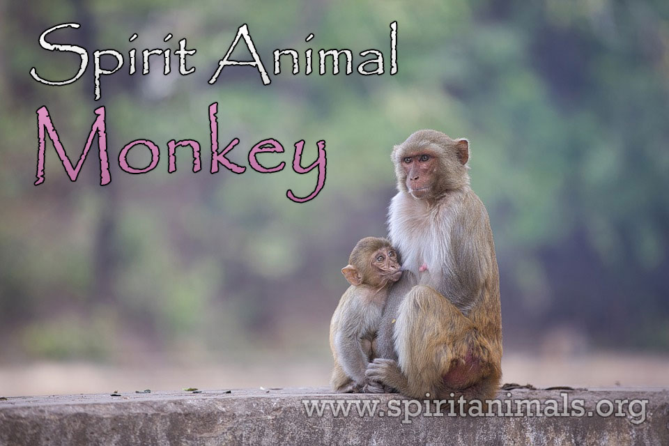 Monkey as Spirit Animal