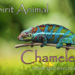 Chameleon as Spirit Animal