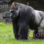 Gorilla as Spirit Animal
