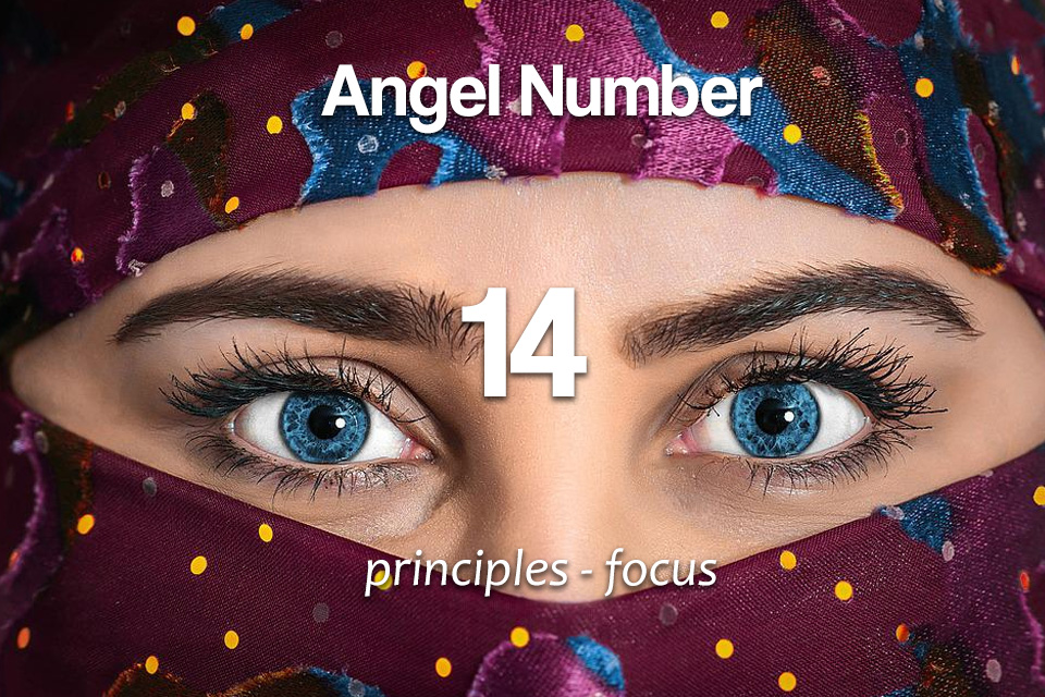 Angel number 14 meaning and symbolism spirit animals