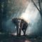 Elephant in a forest