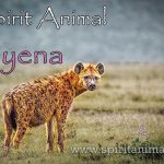 Hyena as Spirit Animal