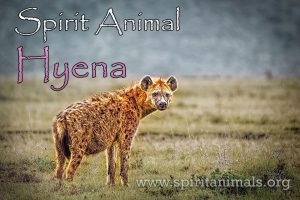 Hyena as Spirit Animal