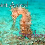 Seahorse as Spirit Animal