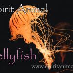 Jellyfish as Spirit Animal