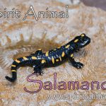 Salamander as Spirit Animal
