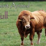 Bull as Spirit Animal