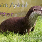 Otter as Spirit Animal