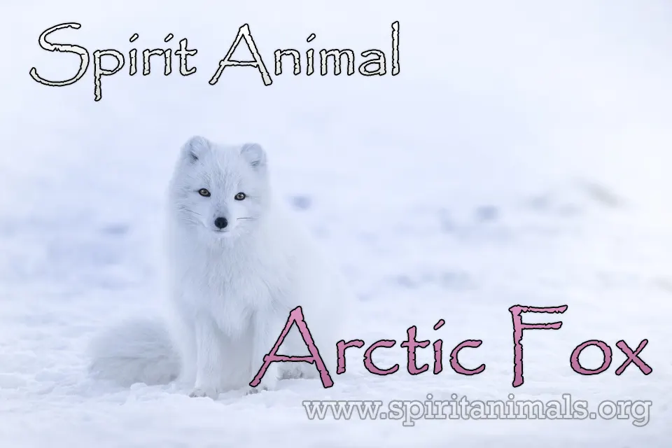 Polar Bear spirit animal : Symbolism and meaning